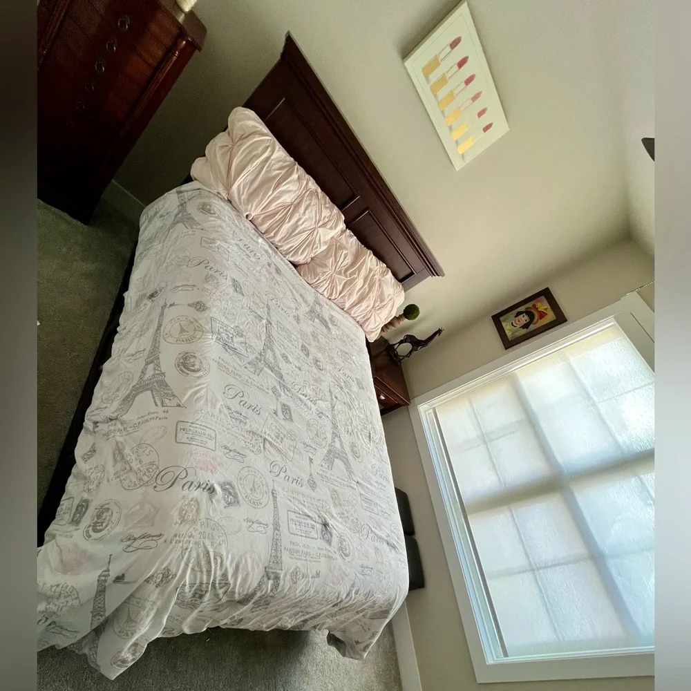 Paris full size comforter.